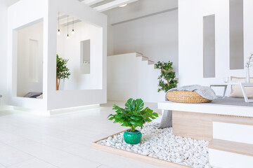 Luxury fashionable modern design studio apartment with a free layout in a minimal style. very bright huge spacious room with white walls and wooden elements. sitting area with fireplace