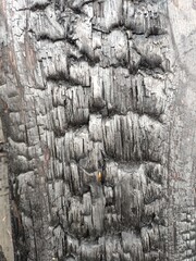 Burned boards. Ash. Black boards after the fire. The texture of a burnt tree.