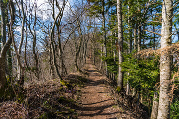 Fantastic hike on the Swabian Alb