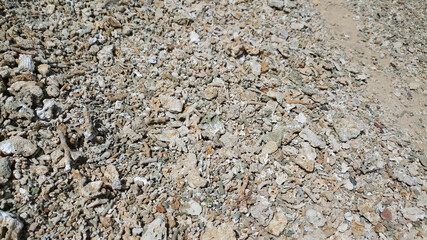 Coral at beach.Dead coral heap on beach.