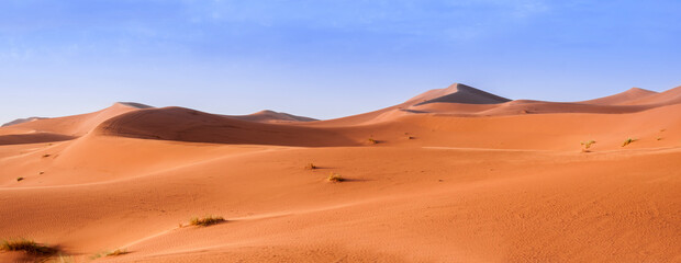 Plakat Sand Dune in the Sahara / In the Sahara Desert, sand dunes to the horizon, Morocco, Africa.