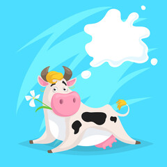 Cute funny spotted cow with milk splash frame. Lying and chews flower. Cartoon vector illustration on blue comic background. Farm animal.