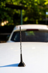 Car antenna black and twisted