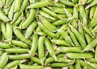 Peas in the pods. Background peas in pods