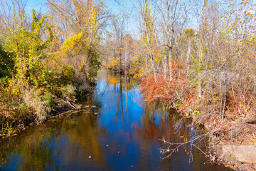 Stream lined with converging autumn color trees reflected disappears into distance.