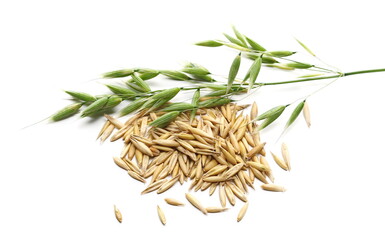 Yellow ripe unpeeled oats and green young oats isolated on white background