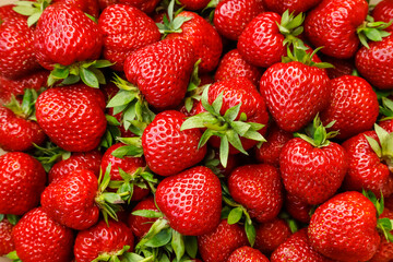 Fresh ripe strawberries, beautiful berry background.