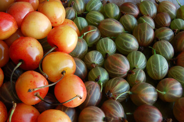 Gooseberries and cherries summer harvest