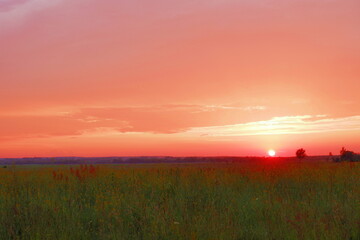 Fototapeta na wymiar beautiful red sunset over the field