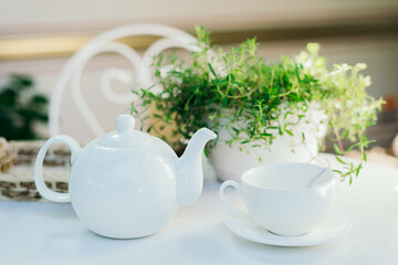 White ceramic teapots and tea ingredients, on top of a white table with a flower pot. Copying space. Summer greeting card template. A cup of tea on the table. Kitchen utensils on the terrace