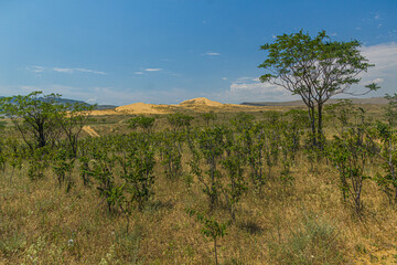 Sarykum (the largest sand dune in Eurasia) in Dagestan Nature Reserve near Makhachkala city, Russia