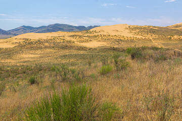 Fototapeta na wymiar Sarykum (the largest sand dune in Eurasia) in Dagestan Nature Reserve near Makhachkala city, Russia