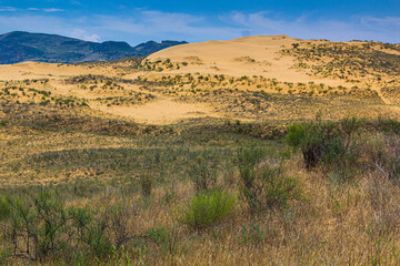 Sarykum (the largest sand dune in Eurasia) in Dagestan Nature Reserve near Makhachkala city, Russia