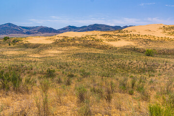 Fototapeta na wymiar Sarykum (the largest sand dune in Eurasia) in Dagestan Nature Reserve near Makhachkala city, Russia