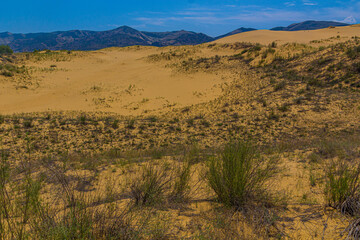 Sarykum (the largest sand dune in Eurasia) in Dagestan Nature Reserve near Makhachkala city, Russia