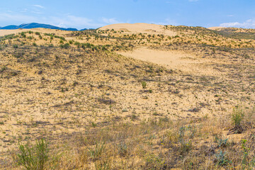 Sarykum (the largest sand dune in Eurasia) in Dagestan Nature Reserve near Makhachkala city, Russia