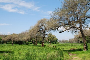 Mana Pools © Aleksandra