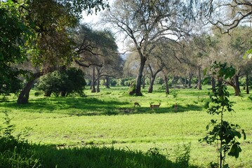 Zimbabwe © Aleksandra