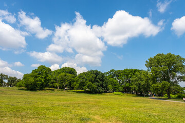 green field and blue sky