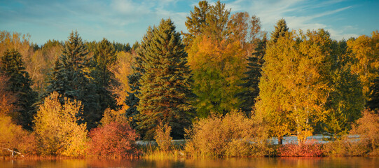 Fototapeta premium autumn landscape with trees