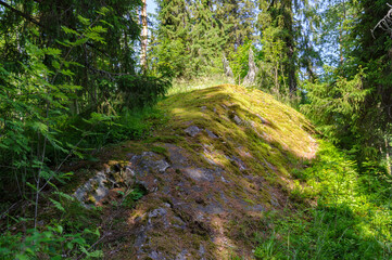 Naklejka premium It's Nature, close view of a stone