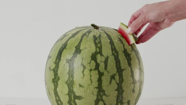 ripe watermelon hand takes out a slice of fresh juicy wet watermelon. Organic healthy food concept