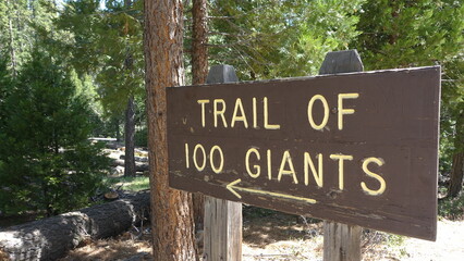Sign at the entrance to the Trail of 100 Giants in Sequoia National Forest 