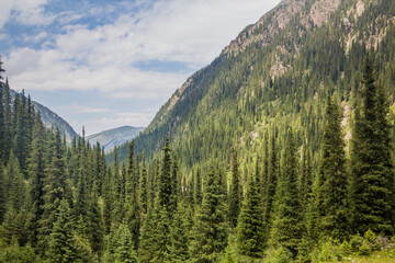 Karakol river valley in Kyrgyzstan
