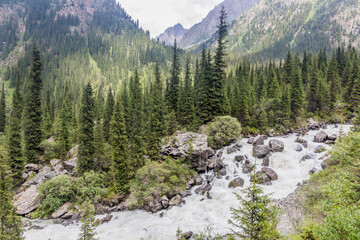 Fototapeta premium Rapids of Karakol river in Kyrgyzstan