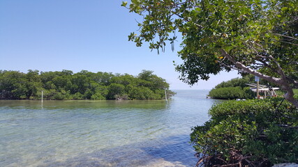 Key West groves