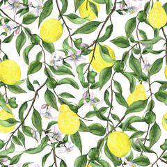 Seamless pattern with watercolor lemon branch.  Endless lemon pattern. Citrus background. Tree background. 