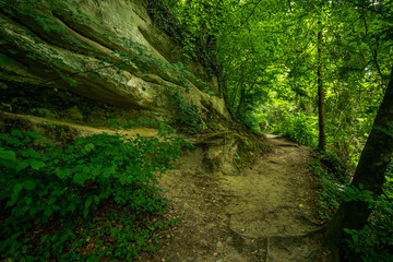 Nature reserve Aachtobel