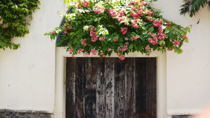 Natural flower decor for domestic wall entrance.External Wall decoration by natural flower and leaf.Rustic and flower combination for door entrance.Door Entrance.
