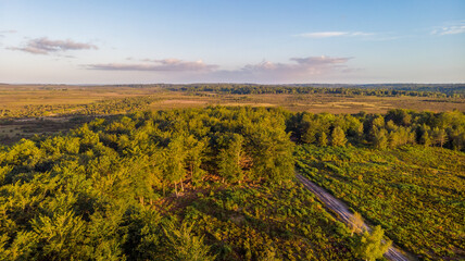An aerial view of the New Forest with heartland, trees at golden hour under a majestic blue sky and white clouds - obrazy, fototapety, plakaty