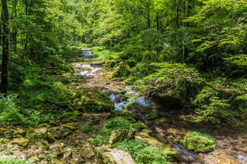 View of Golden Whip stream in Zhangjiajie National Forest Park in Hunan province, China