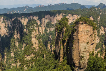 Fototapeta na wymiar Rocky pinnacles in Zhangjiajie National Forest Park in Hunan province, China