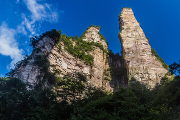 Fototapeta na wymiar Rocky pillars in Zhangjiajie National Forest Park in Hunan province, China