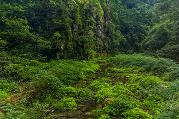 Rock cliffs above the Golden Whip stream in Zhangjiajie National Forest Park in Hunan province, China