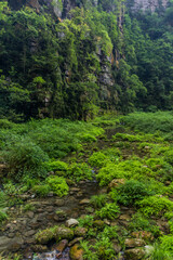 Fototapeta na wymiar Rock cliffs above the Golden Whip stream in Zhangjiajie National Forest Park in Hunan province, China