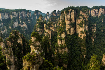 Fototapeta na wymiar Rock formations of Wulingyuan Scenic and Historic Interest Area in Zhangjiajie National Forest Park in Hunan province, China