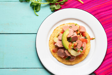 Mexican sausage ceviche with avocado on turquoise background