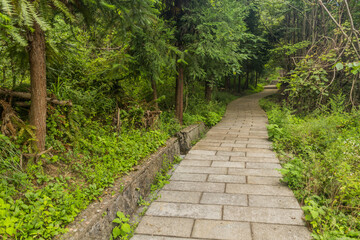 Fototapeta na wymiar Walking path in Wulingyuan Scenic and Historic Interest Area in Zhangjiajie National Forest Park in Hunan province, China