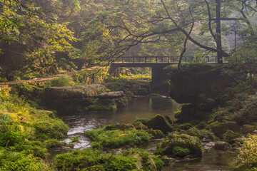Golden Whip stream in Zhangjiajie National Forest Park in Hunan province, China