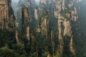 Tall sandstone pillars in Wulingyuan Scenic and Historic Interest Area in Zhangjiajie National...