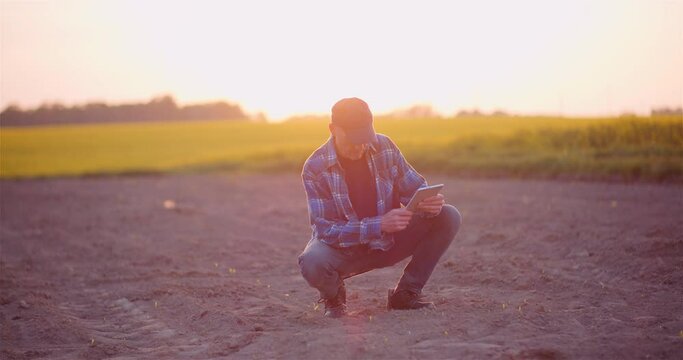 Agriculture - Farmer Examining Young Corn Growing at Agricultural Field
