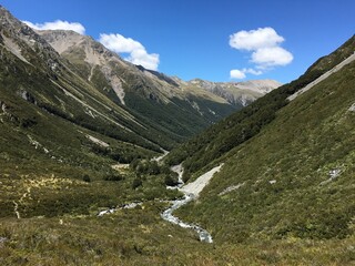 waiau pass valley view forest