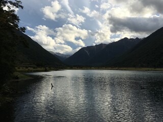 nelson lake dark reflection