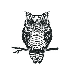 Owl sitting on a branch  isolated on white. Vector illustration.