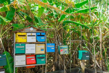 Colorful mail boxes with banana trees field on the background, Grande Anse, Basse-Terre, Guadeloupe