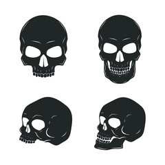 Collection of human skulls isolated on white. Vector illustration.